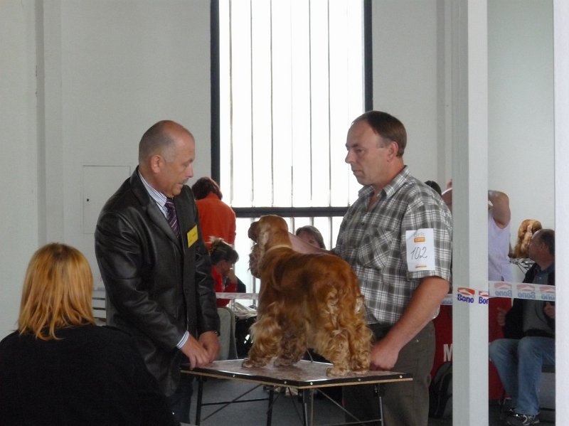 Litomerice 2009 034.jpg